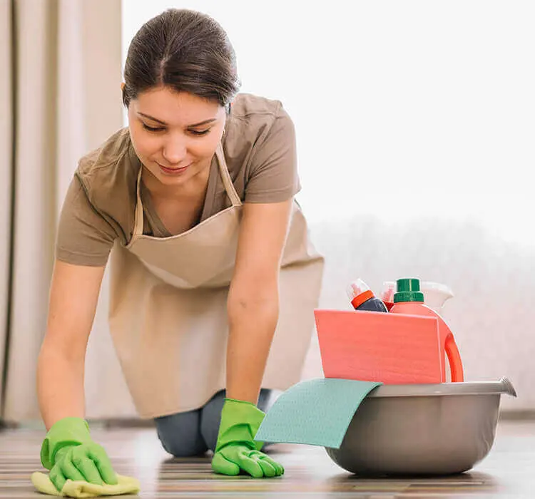 Oven Cleaning
